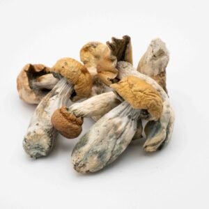 Raw Mushrooms